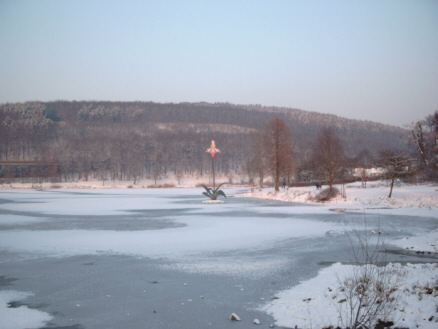 � Manfred 2006 - Die Orchidee / Dauerleihgabe Fa. Dornbracht