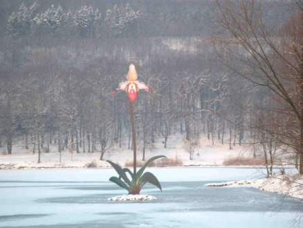 � Manfred 2006 - Die Orchidee / Dauerleihgabe Fa. Dornbracht